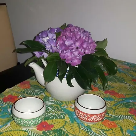 Casa Violeta Сasa de vacaciones *