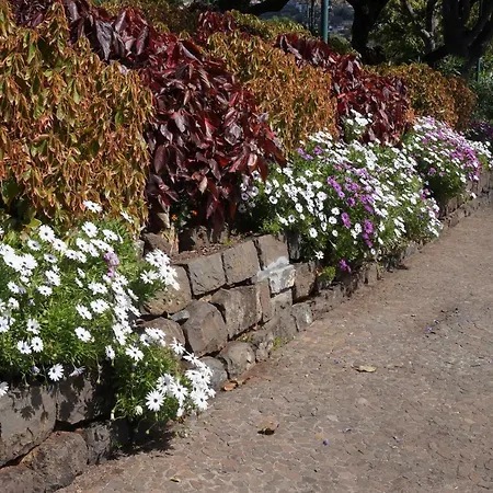 Casa Violeta Сasa de vacaciones Funchal (Madeira)