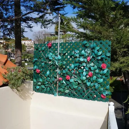 Casa Violeta Сasa de vacaciones *