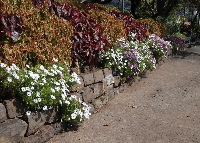 Casa Violeta Casa de Férias Funchal (Madeira)