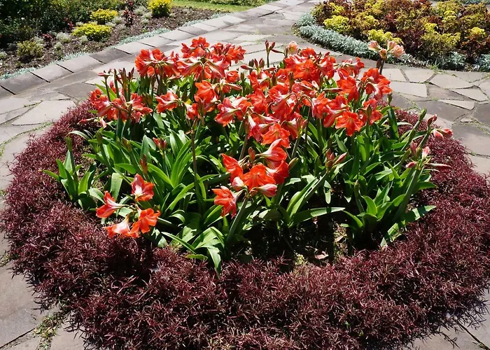 Casa de Férias Casa Violeta *