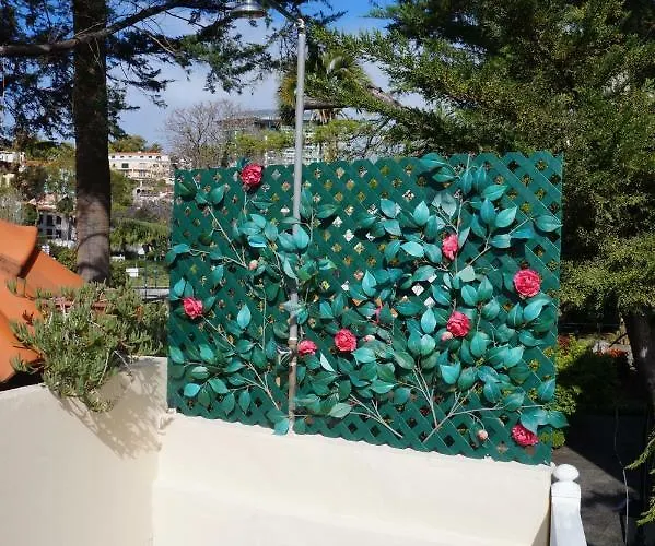 Casa Violeta Casa de Férias *