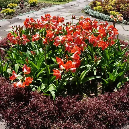 Ferienhaus Casa Violeta *