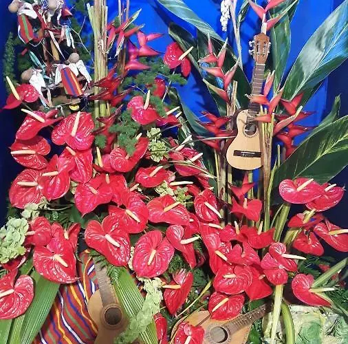 Casa Violeta * Funchal (Madeira)