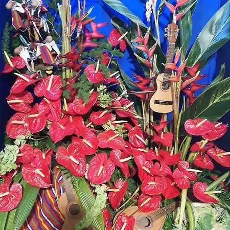 Casa Violeta * Φουνκάλ